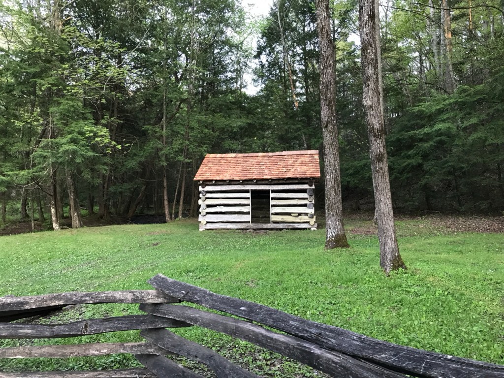 The White Oak on the Hill:  A Meditation on Roots and&nbsp;Presence